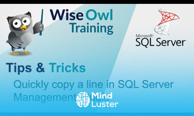Quickly copy a line in SQL Server Management Studio