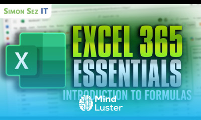 Excel 365 Essentials Introduction to Formulas