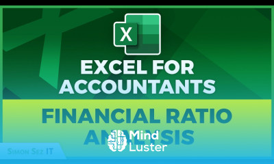 Accountant Excel Toolkit Financial Ratio Analysis