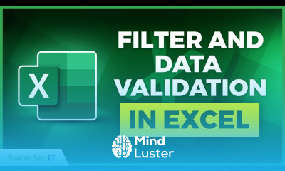 Importing and Formatting Data in Excel Filter and Data Validation
