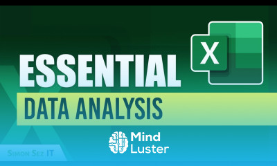 Learn Top Excel Functions for Data Analysts - Mind Luster