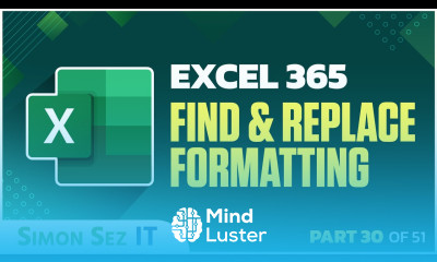 Excel 365 for Beginners Streamline Your Spreadsheets with Find and Replace Formatting 30 of 51