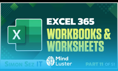 Excel 365 for Beginners How to Organize Color and Copy Your Worksheets 11 of 51