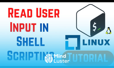 How do I read user input into a variable in Bash Shell Scripting Tutorial for Beginners