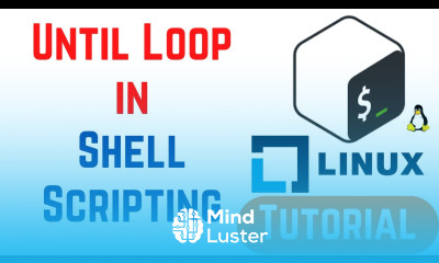 Until Loop in Shell Scripting Syntax and Examples