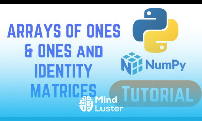 Python NumPy Tutorial For Beginners ARRAYS OF ONES ONES and IDENTITY MATRICES