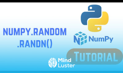 Python NumPy Tutorial For Beginners numpy random randn in Python