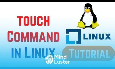 Linux Command Line Basics Tutorials touch Command in Linux