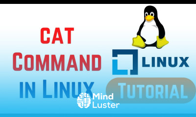 Linux Command Line Basics Tutorials cat Command in Linux