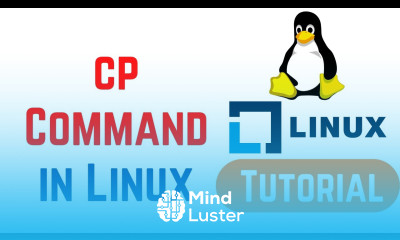 Linux Command Line Basics Tutorials cp Command in Linux