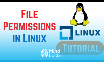 Linux Command Line Basics Tutorials File Permissions in Linux How to Read Write Change
