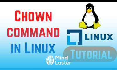 Linux Command Line Basics Tutorials Chown Command in Linux