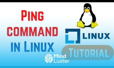 Linux Command Line Basics Tutorials Ping Command in Linux