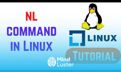 nl command in Linux with Examples