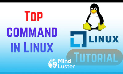 Learn Top command in Linux with examples How to Use Linux Top Command ...