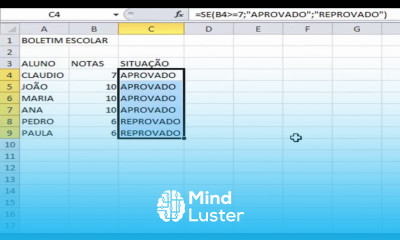 Excel Função SE Função E Função OU
