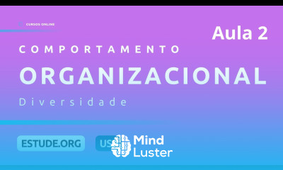 Comportamento Organizacional Aula 2 Diversidade nas organizações