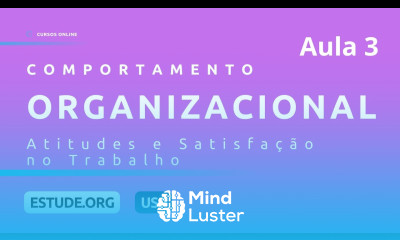 Comportamento Organizacional Aula 3 Atitudes e Satisfação no Trabalho