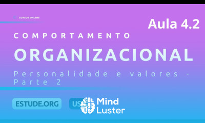 Comportamento Organizacional Aula 4 Personalidade e valores Parte 2