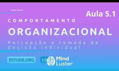 Comportamento Organizacional Aula 5 Percepção e tomada de decisão individual Parte 1