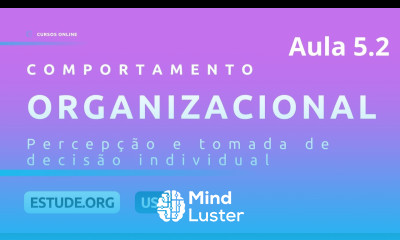 Comportamento Organizacional Aula 5 Percepção e tomada de decisão individual Parte 2