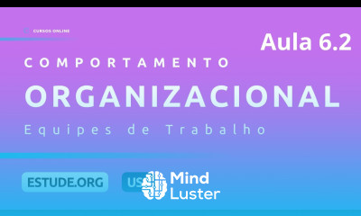 Comportamento Organizacional Aula 6 Equipes de Trabalho Parte 2