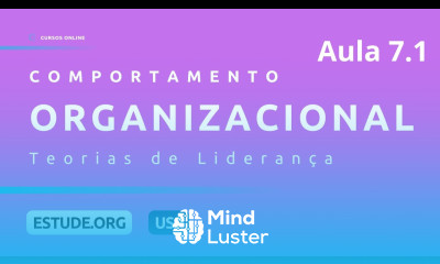 Comportamento Organizacional Aula 7 Teorias de Liderança Parte 1