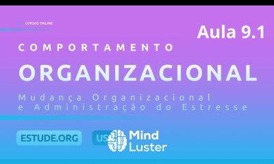Comportamento Organizacional Aula 9 Mudança Organizacional e Administração do Estresse Parte 1