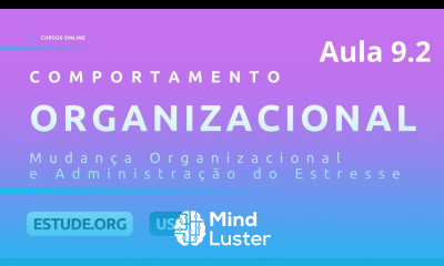 Comportamento Organizacional Aula 9 Mudança Organizacional e Administração do Estresse Parte 2
