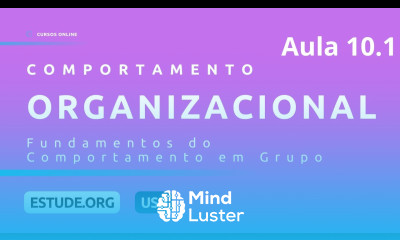 Comportamento Organizacional Aula 10 Fundamentos do Comportamento em Grupo Parte 1