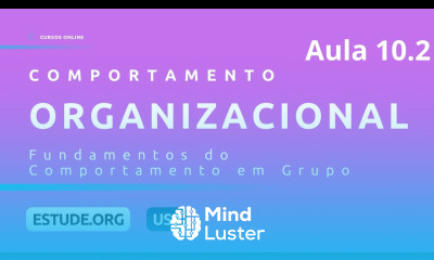Comportamento Organizacional Aula 10 Fundamentos do Comportamento em Grupo Parte 2
