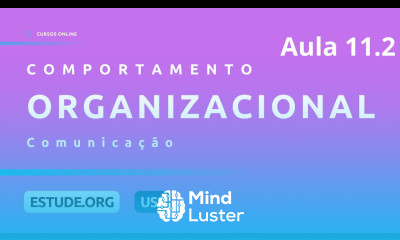 Comportamento Organizacional Aula 11 Comunicação Parte 2
