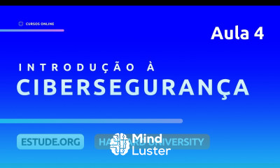 Cibersegurança Preservando a Privacidade Aula 4 Introdução à Segurança Cibernética