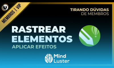 Como rasterizar elementos e aplicar efeitos no corel