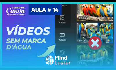 Como usar vídeos sem marca D água no Canva Curso Grátis de Canva