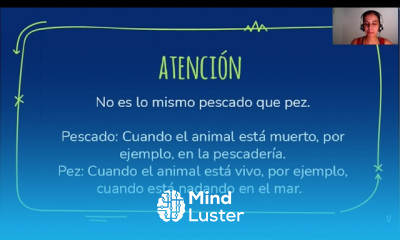 Curso de Espanhol Leccion 13