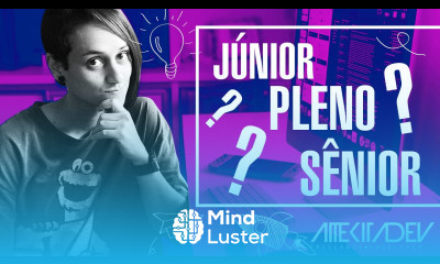 O que define um nível de cargo júnior pleno e sênior 