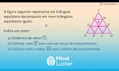 Vetores Simétricos e Colineares