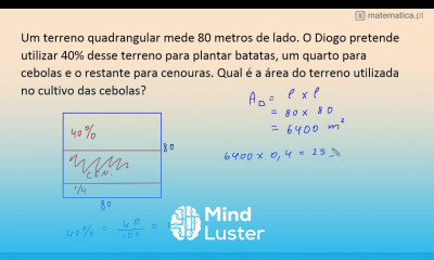 Problema com Frações e Percentagens