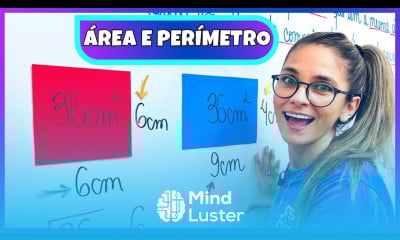 ÁREA E PERÍMETRO RESOLUÇÃO DE PROBLEMAS EXERCÍCIOS