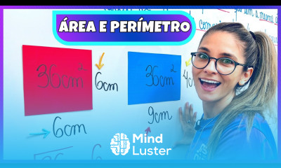 ÁREA E PERÍMETRO RESOLUÇÃO DE PROBLEMAS EXERCÍCIOS