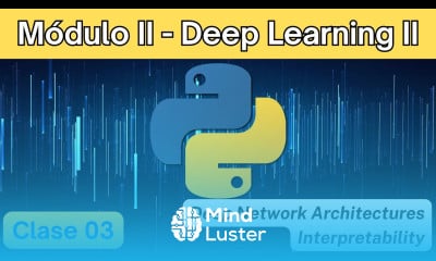 M02 Clase 03 Deep Network Architectures Interpretability Diplomado IA
