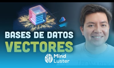 Cómo FUNCIONAN las BASES DE DATOS VECTORIALES