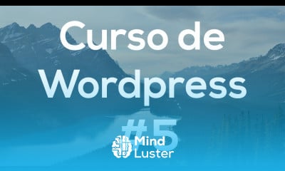 Curso de Wordpress 5 Apariencia Temas Themes y Personalización