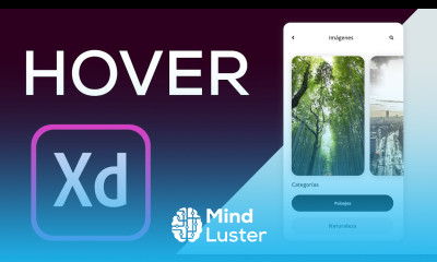 Learn Efectos Hover en Adobe XD Como hacer un Slideshow - Mind Luster