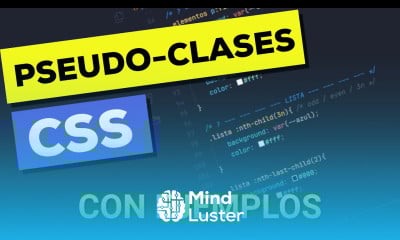 Guía Completa de Pseudo clases en CSS ¿Qué son Ejemplos de todas