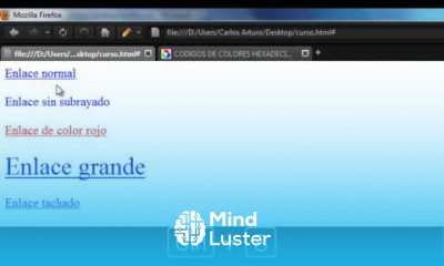 Curso Basico de CSS 6 Enlaces