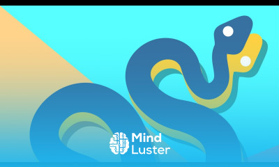 Curso Python desde Cero a Experto en 1 Video Curso Completo 2024