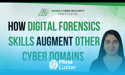How do Digital Forensics skill augment other cyber domains