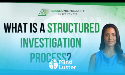 What is a structured investigation process